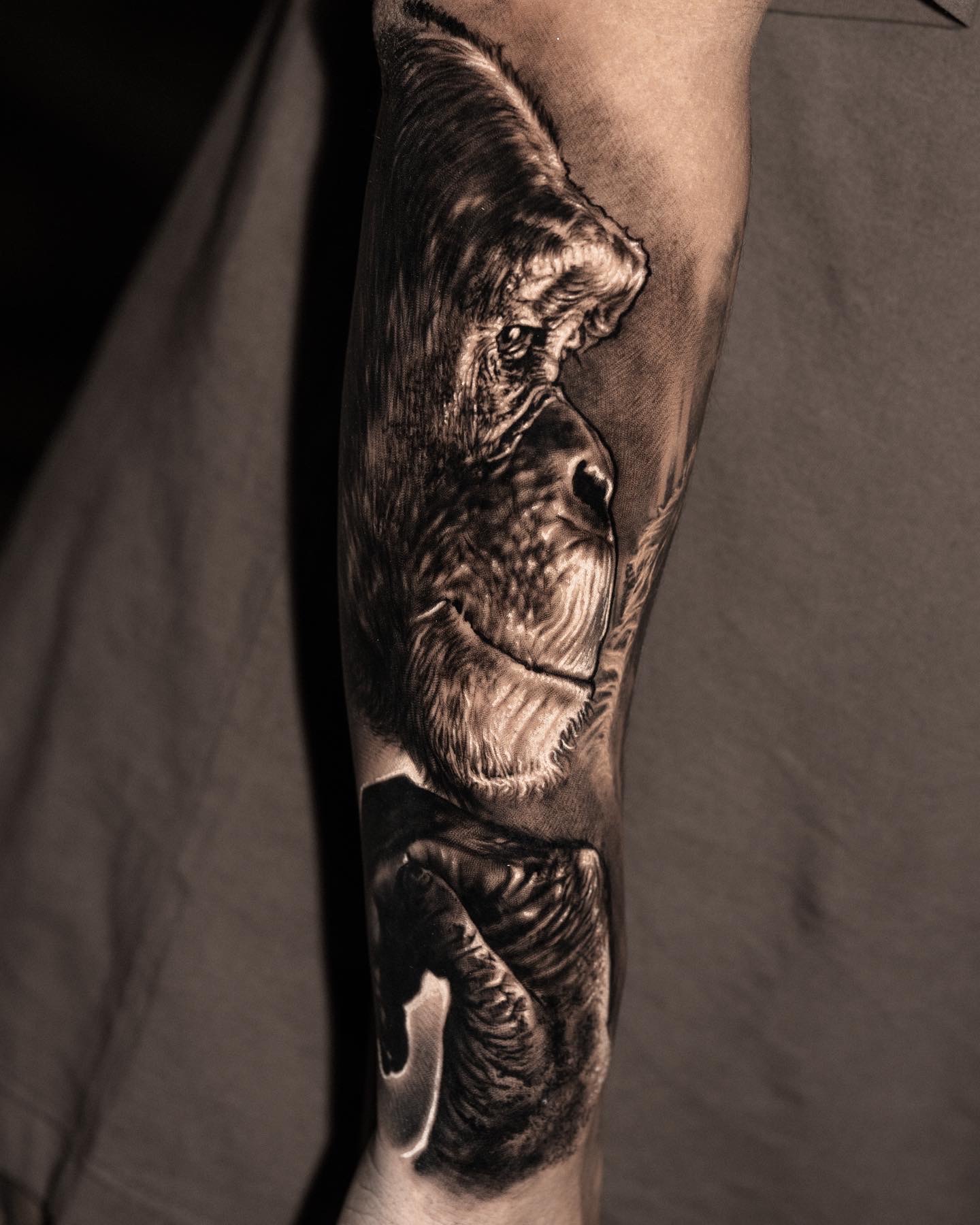 Animal portrait tattoo by Ramon Rodrigo